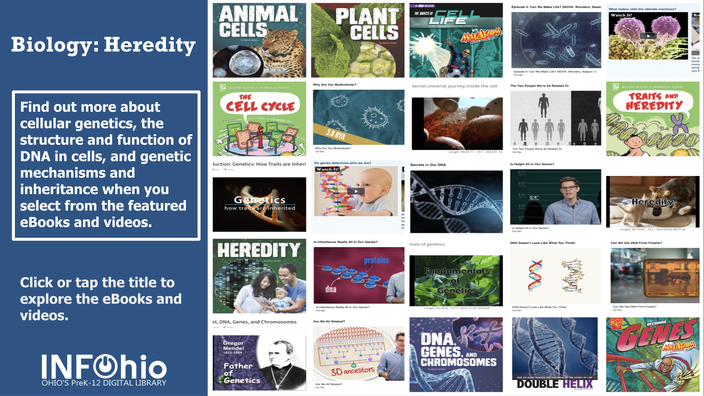 Science Choice Boards to Support Background Knowledge